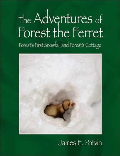 The Adventures of Forest the Ferret