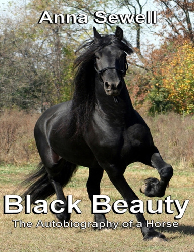 Black Beauty: The Autobiography of a Horse