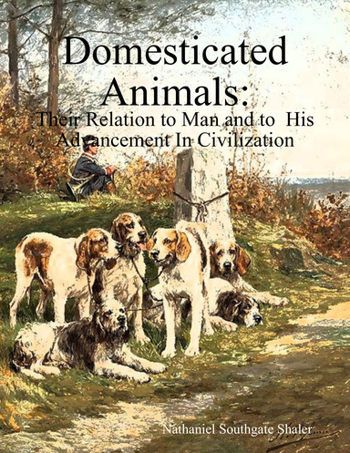 Domesticated Animals: Their Relation to Man and to His Advancement In  Civilization