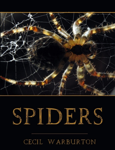 Spiders (Illustrated)