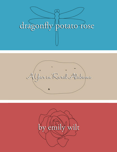Dragonfly Potato Rose