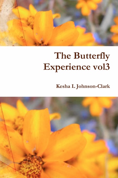 The Butterfly Experience: A Collection of Poems vol3