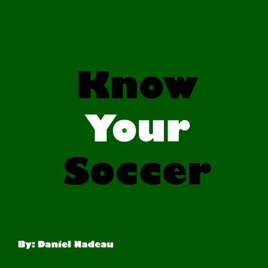 Daniel's Soccer Book