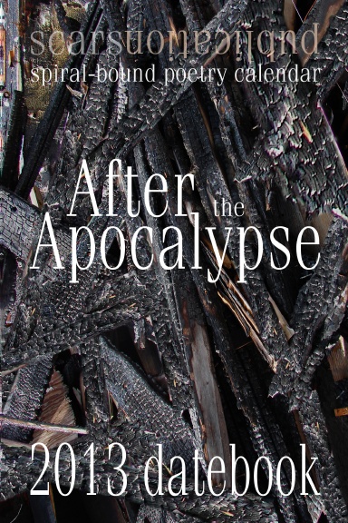 after the apocalypse book review