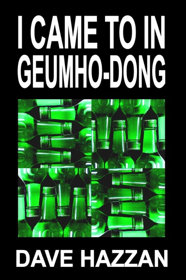 I Came To In Geumho-dong