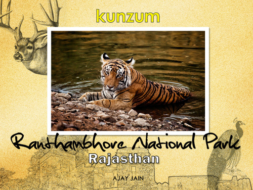 Ranthambore National Park - Rajasthan