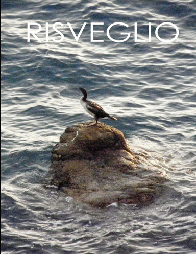 Risveglio