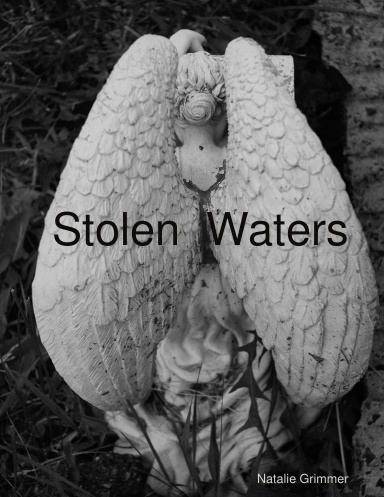 Stolen Waters