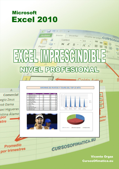Excel 2010 Imprescincible: Nivel Profesional