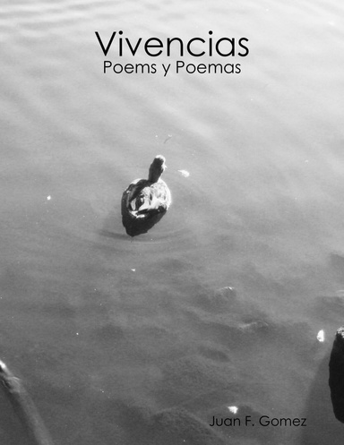Vivencias: Poems y Poemas
