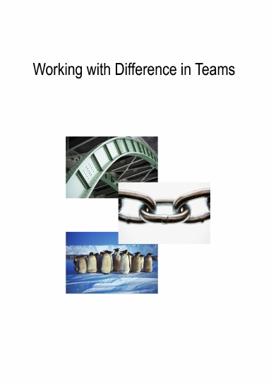 Working With Difference in Teams