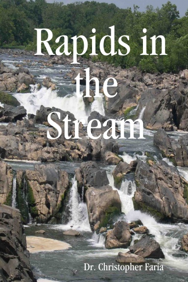 Rapids in the Stream