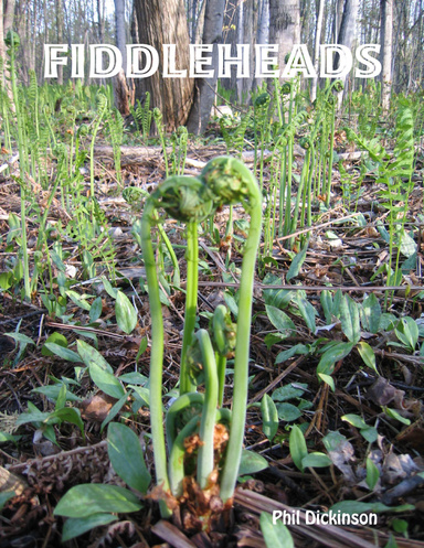Fiddleheads