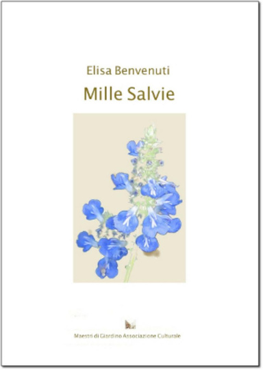 Mille Salvie