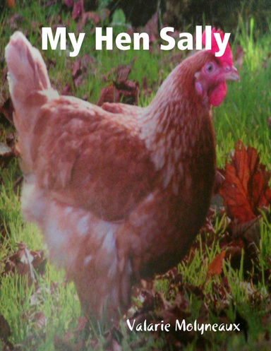My Hen Sally