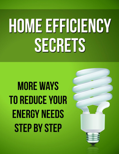 Home Efficiency Secrets