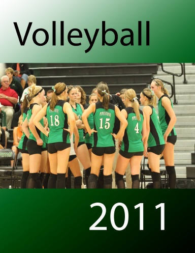 Volleyball Fundraiser 2012