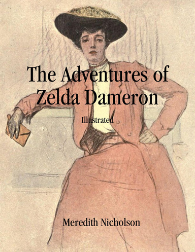 The Adventures of Zelda Dameron: Illustrated