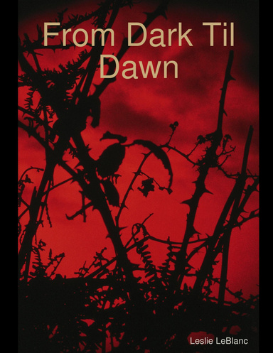 From Dark Til Dawn