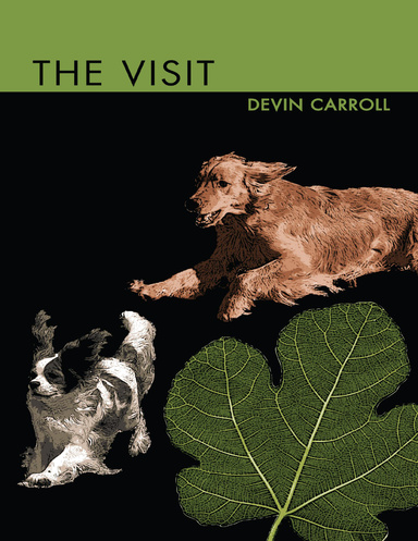 The Visit