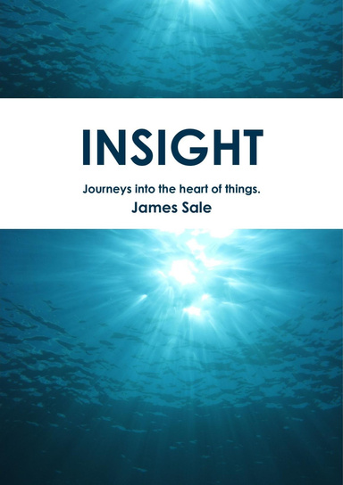 Insight: Journeys Into the Heart of Things