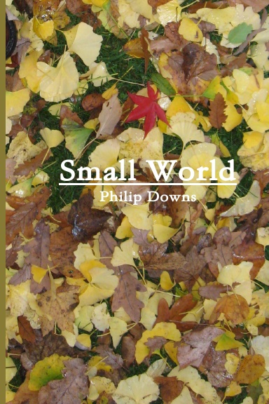 Small World