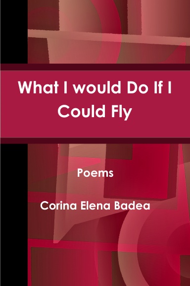 What I Would Do If I Could Fly