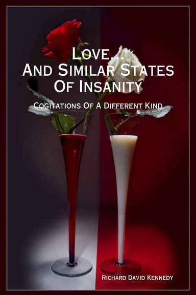Love & Similar States Of Insanity