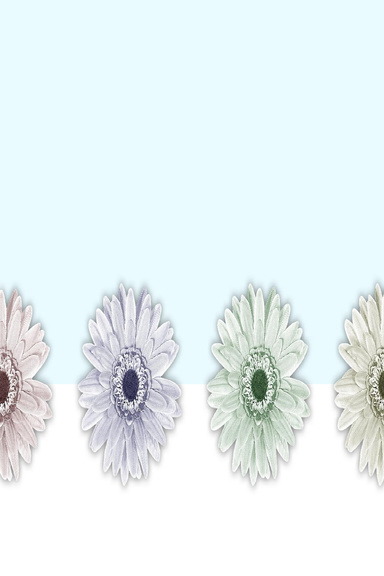 Spring Notebook