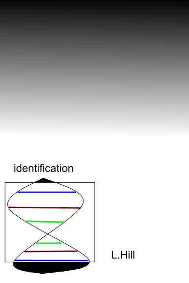 Identification