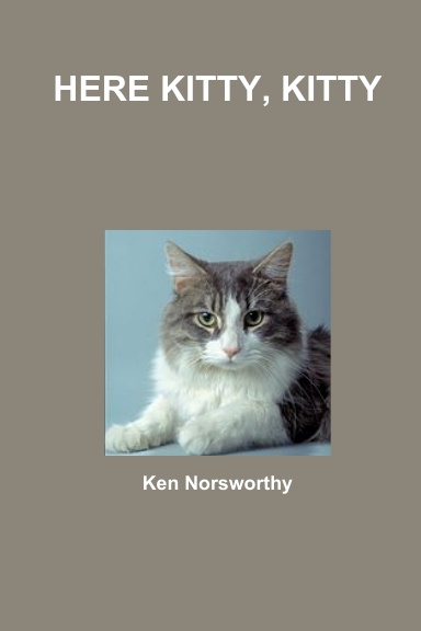 HERE KITTY, KITTY