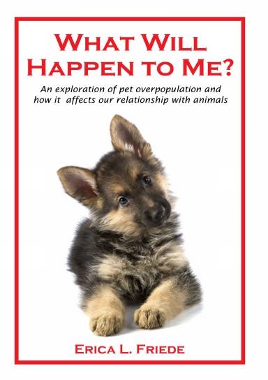 What Will Happen to Me? An exploration of pet overpopulation and how it affects our relationship with animals