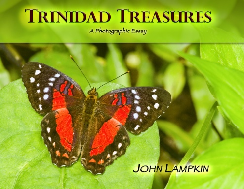 Trinidad Treasures