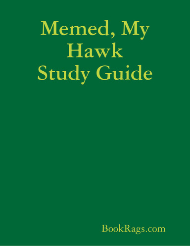 Memed, My Hawk Study Guide