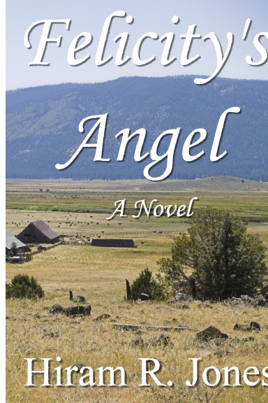 Felicity's Angel