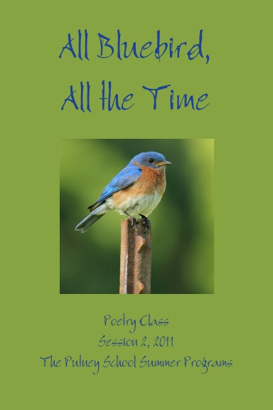 All Bluebird, All the Time