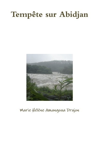 Tempête sur Abidjan