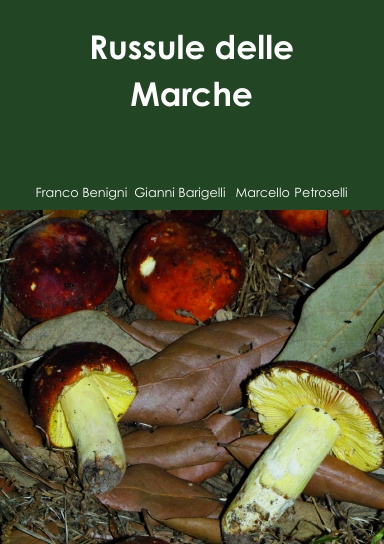 Russule delle Marche