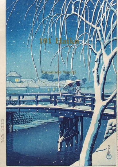 101 Haiku