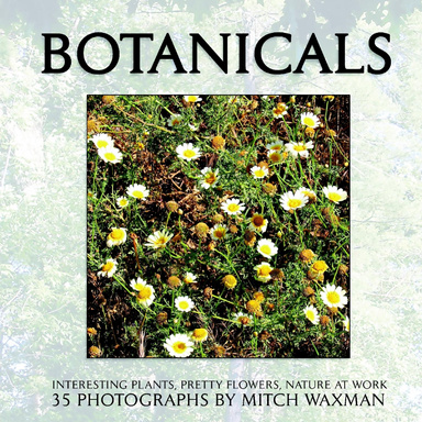 Botanicals