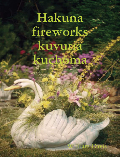 Hakuna fireworks kuvutia kuchoma