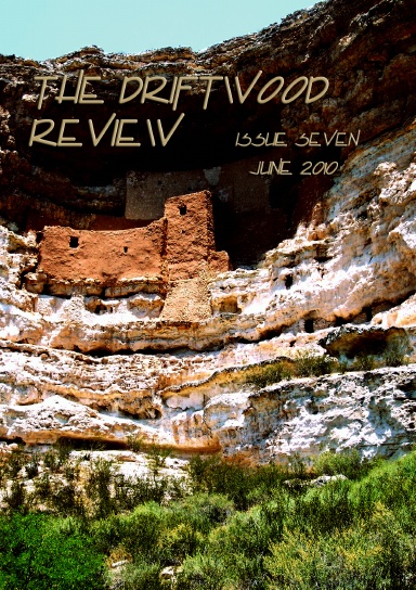 The Driftwood Review Issue Seven (Full Color)