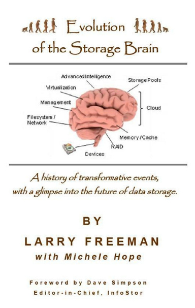 Evolution of the Storage Brain