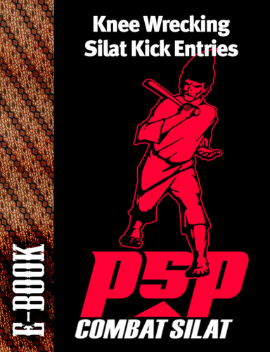 Knee Wrecking Silat Kick Entries - #5