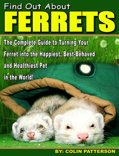 Find Out About Ferrets: The Complete Guide to Turning Your Ferret Into the Happiest, Best-Behaved and Healthiest Pet in the World!