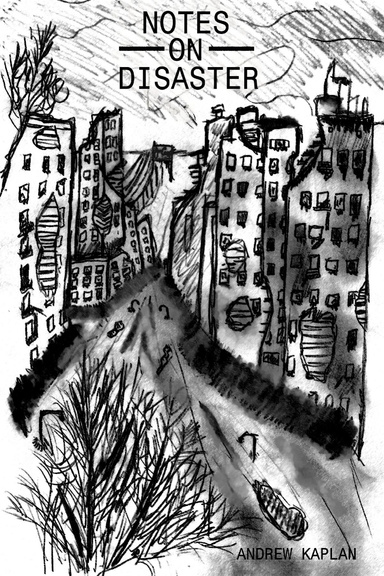 Notes on Disaster