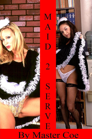MAID 2 SERVE