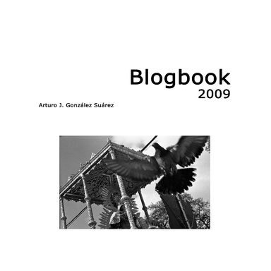 Blogbook 2009