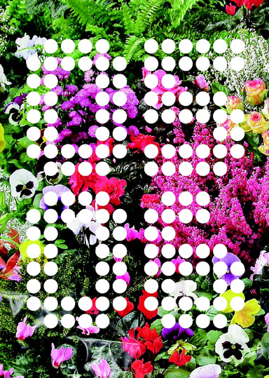 05-06
