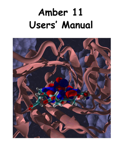 Amber 11 Users' Manual
